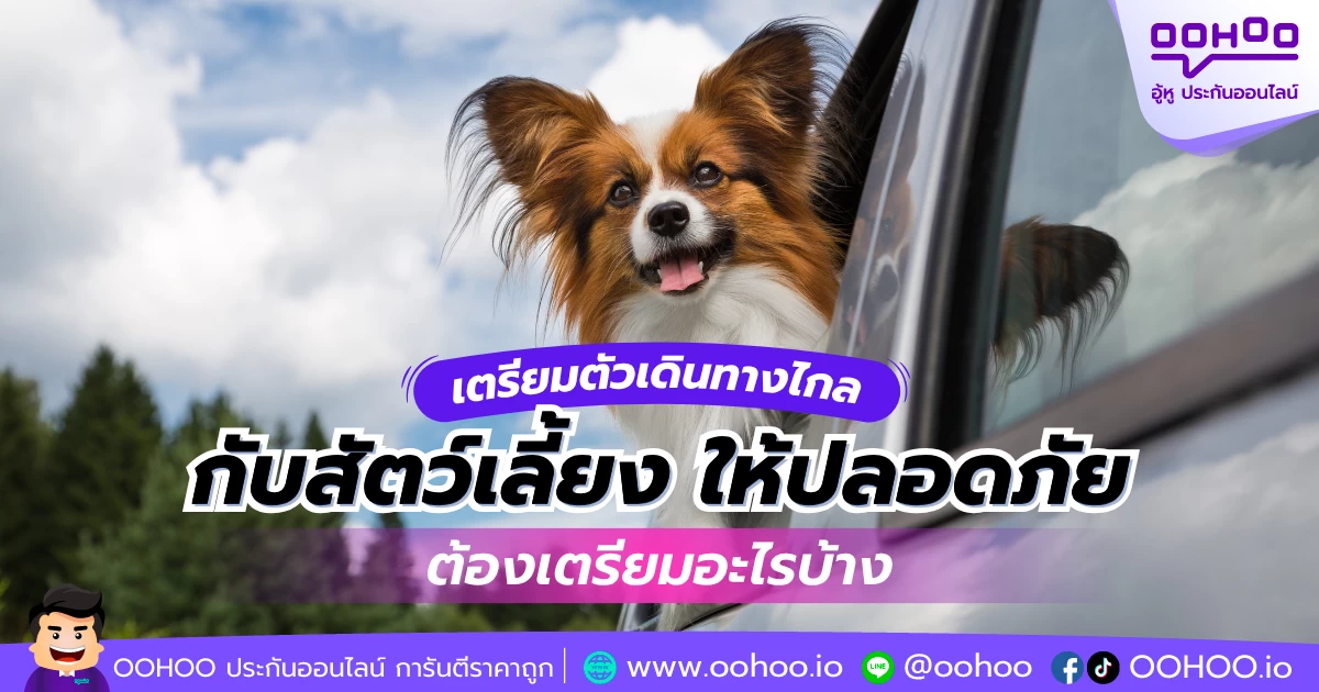 เตรียมตัวเดินทางไกลกับสัตว์เลี้ยง ให้ปลอดภัยต้องเตรียมอะไรบ้าง