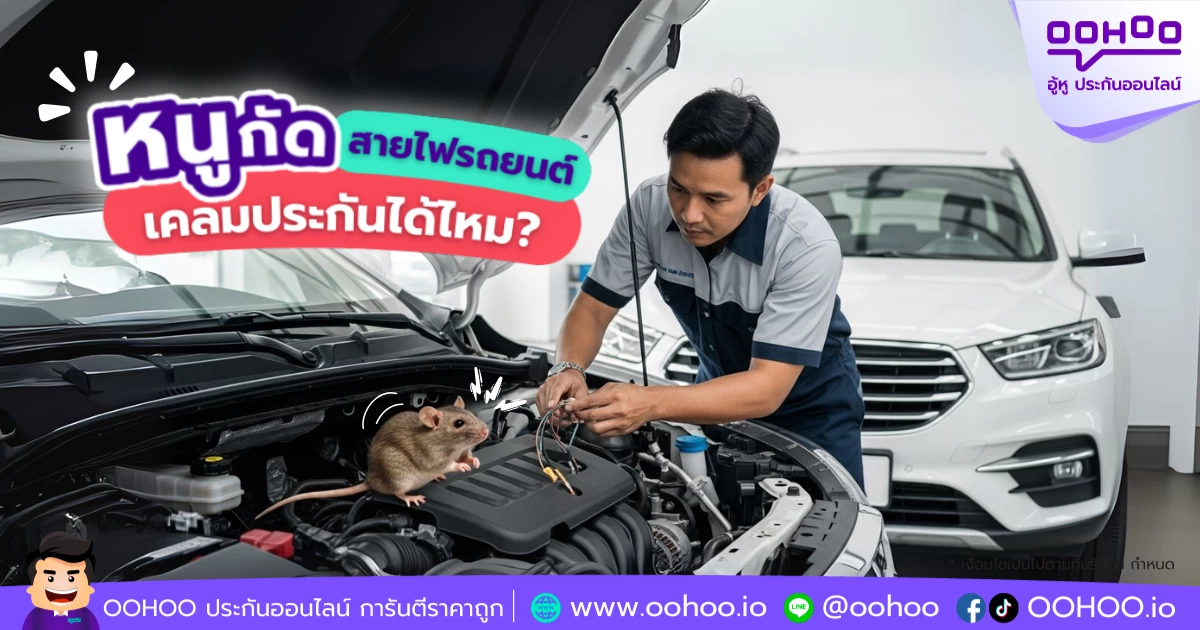 หนูกัดสายไฟรถยนต์  เคลมประกันได้ไหม?