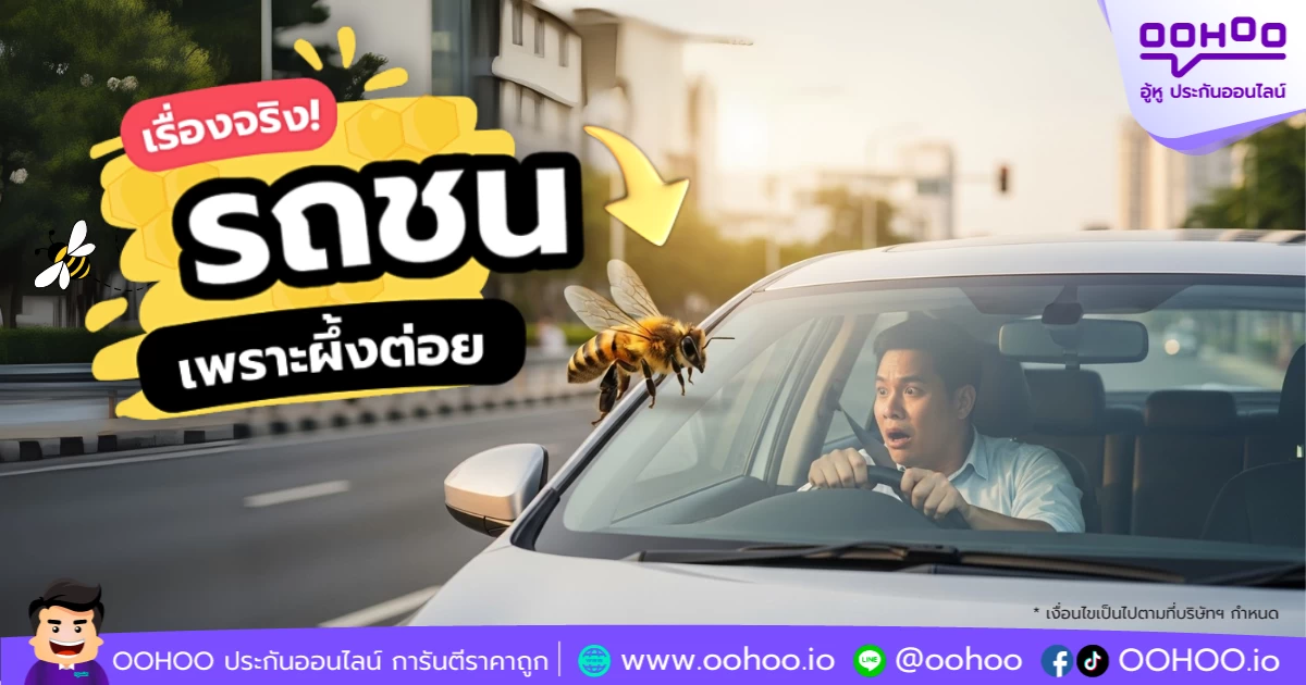 รถชนเพราะผึ้งต่อย – เรื่องจริงที่ใครก็เจอได้