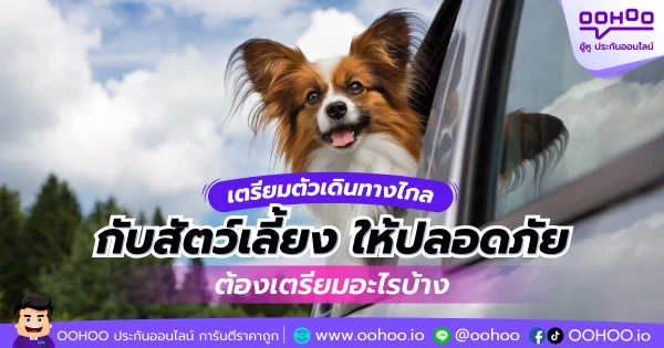 เตรียมตัวเดินทางไกลกับสัตว์เลี้ยง ให้ปลอดภัยต้องเตรียมอะไรบ้าง