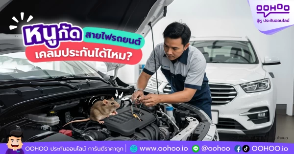 หนูกัดสายไฟรถยนต์  เคลมประกันได้ไหม?