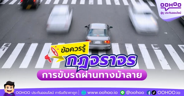 ข้อควรรู้ กฎจราจร การขับรถผ่านทางม้าลาย