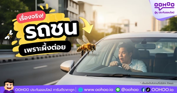 รถชนเพราะผึ้งต่อย – เรื่องจริงที่ใครก็เจอได้